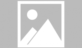 绅士动漫网站,探索二次元世界的魅力之旅