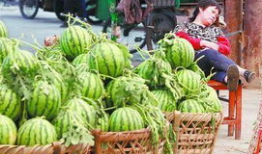 唐县吃瓜最新事件爆料,揭秘背后惊人真相